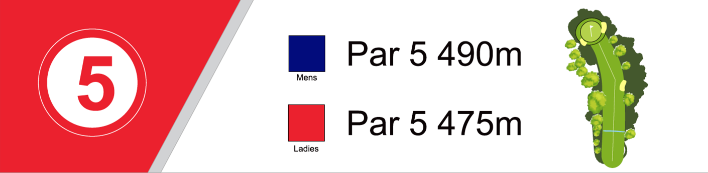 5